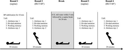 Orthostatic Cognitive Dysfunction in Postural Tachycardia Syndrome After Rapid Water Drinking